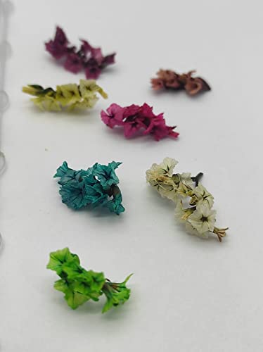 12 Patterns 3D Real Dried Flower Nail Stickers - DIY Manicure Art Decoration for Nails, Plastic Press-On Nail Tips - Perfect for Wedding, Party, Salon & Home Nail Art Designs