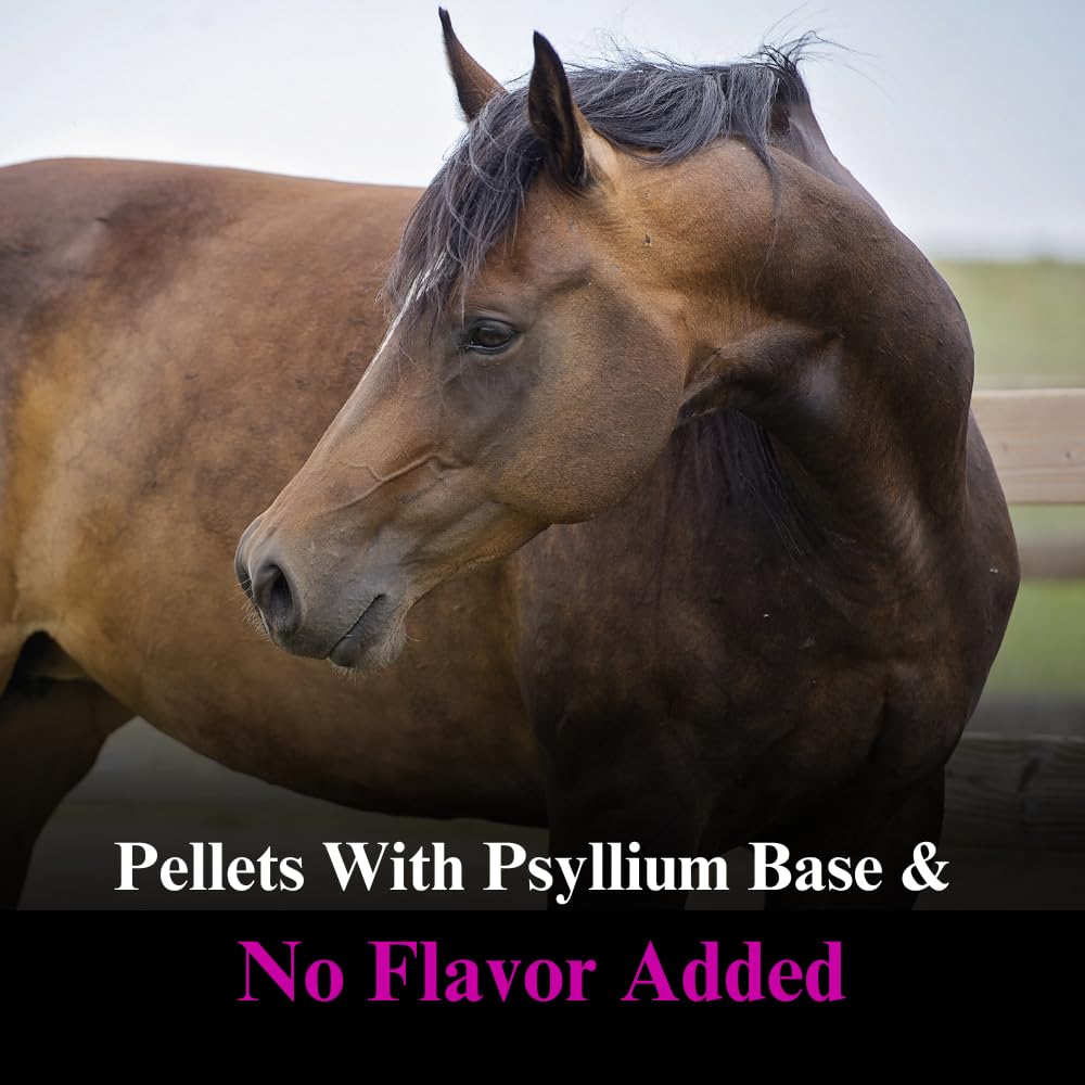 Premium Horse Vitamins & Minerals Supplement Pellets - Probiotics, Amino Acids & Electrolytes for Equine Health - 15lb Bag (4 Month Supply) - Supports Digestive, Immune & Muscle Health - Ideal for Performance Horses, Senior Horses & Breeding Mares