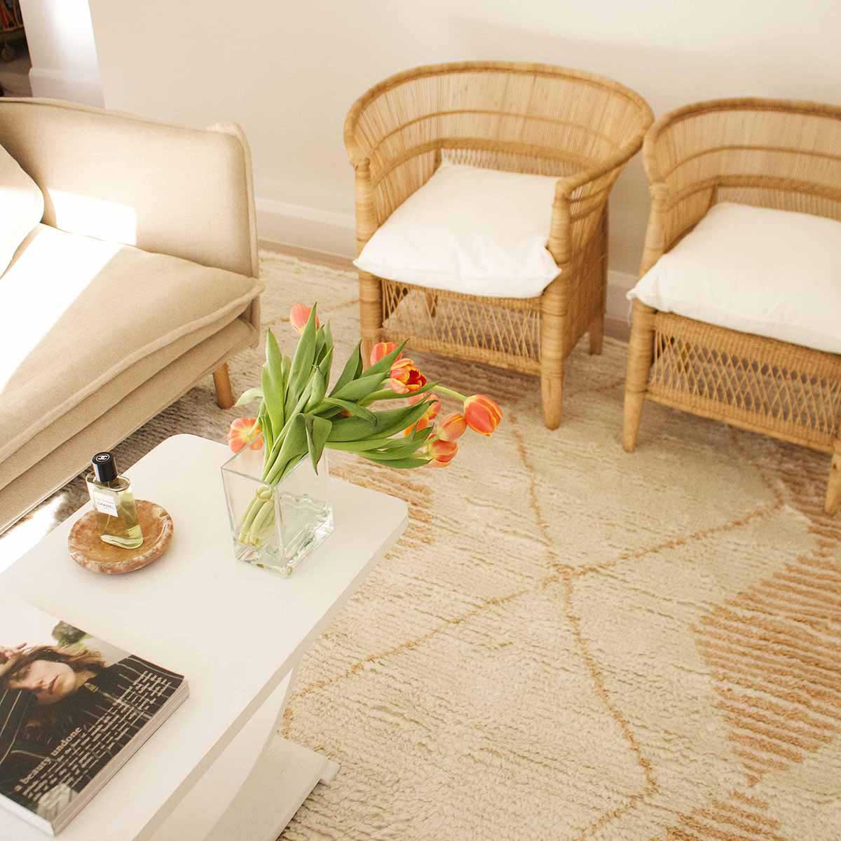 Frankie Tribal PET Rug - Eco-Friendly Non-Slip Pet Mat for Dogs & Cats - Perfect for Living Room, Bedroom, or Pet Play Area