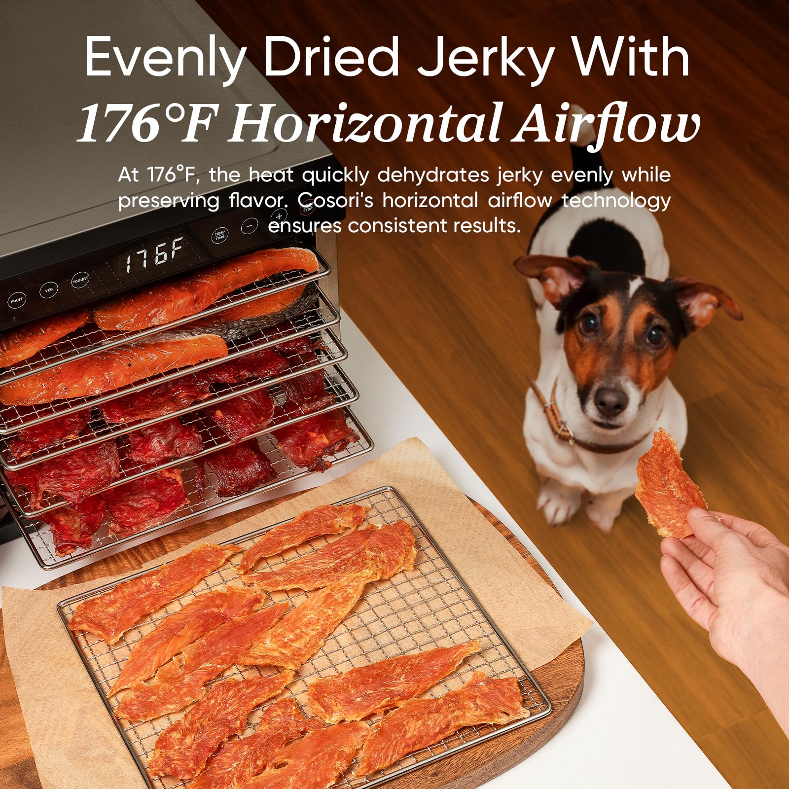COSORI Food Dehydrator Machine for Jerky, Meat, Fruit & Veggies - 5 Stainless Steel Trays, 176°F Precise Temp Control, 4 Presets & 48H Timer - Perfect for Homemade Dog Treats, Healthy Snacks & Food Preservation (Includes Recipe Book) - Ideal for Home Kitchen, Camping & Meal Prep