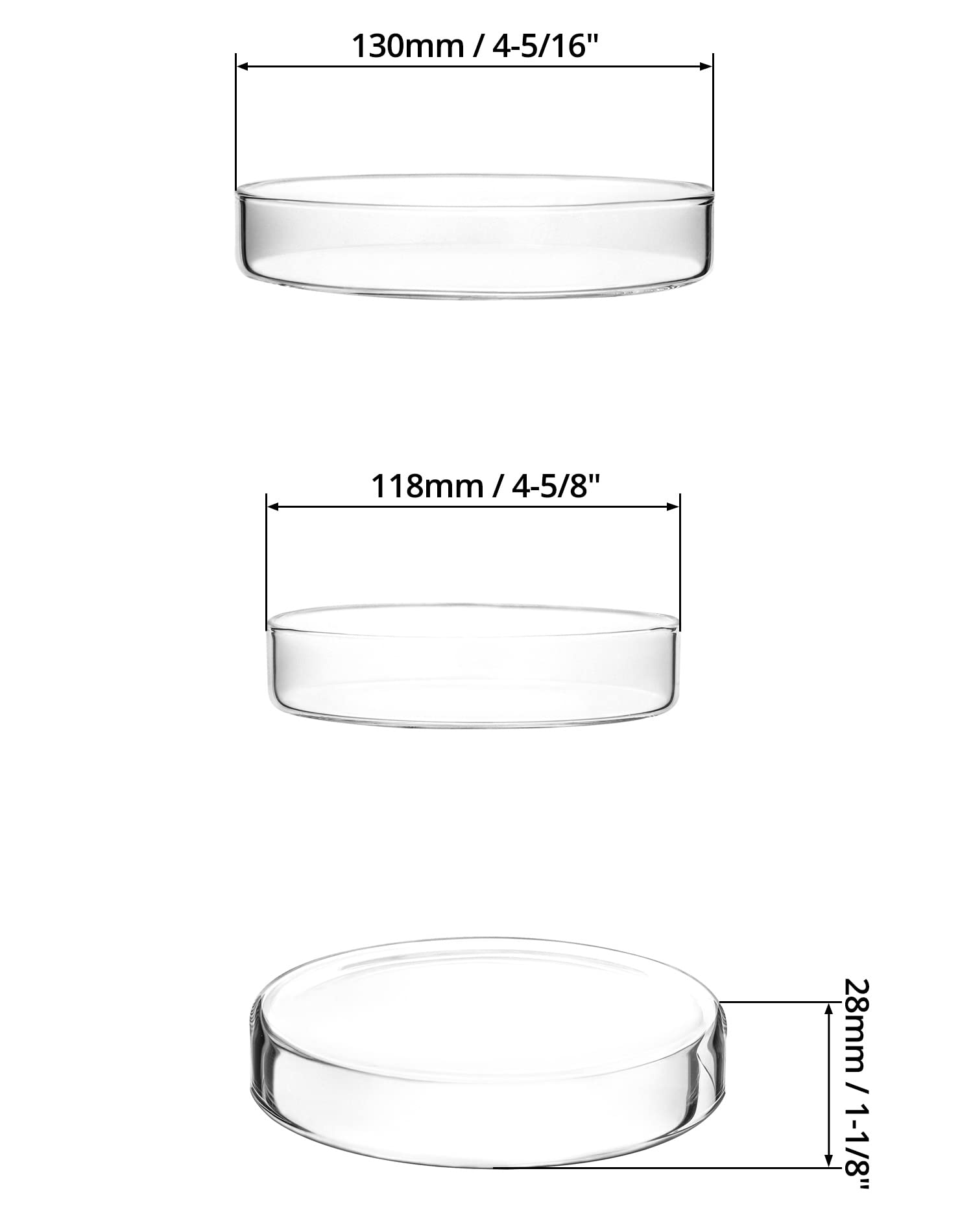 QWORK 120mm x 26mm Thickened Glass Petri Dishes with Lid - 5 Pack Lab Equipment for Microbiology, Cell Culture & Science Experiments