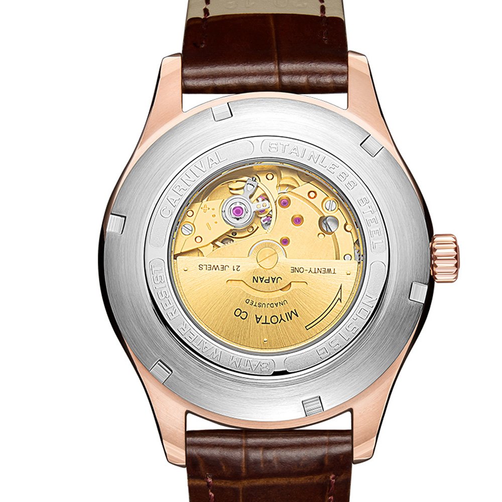 TEINTOP Japanese Automatic Men's Watch - Zodiac Animal Mechanical Carnival Watch (Rooster Brown) | Waterproof & Stainless Steel | Perfect for Business, Casual & Formal Occasions