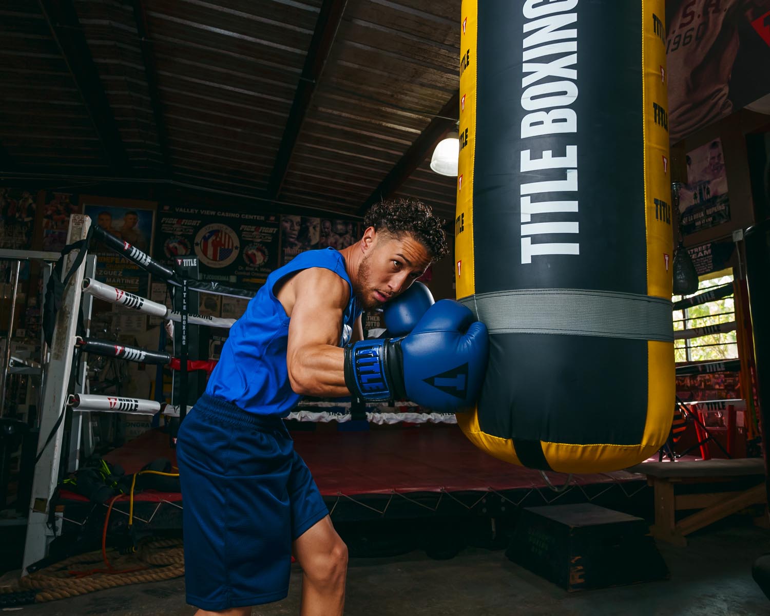 TITLE Boxing Dauntless Training Boxing Gloves for Men & Women - Premium MMA, Kickboxing, and Heavy Bag Workouts - Ideal for Gym, Home Training, and Fitness Enthusiasts
