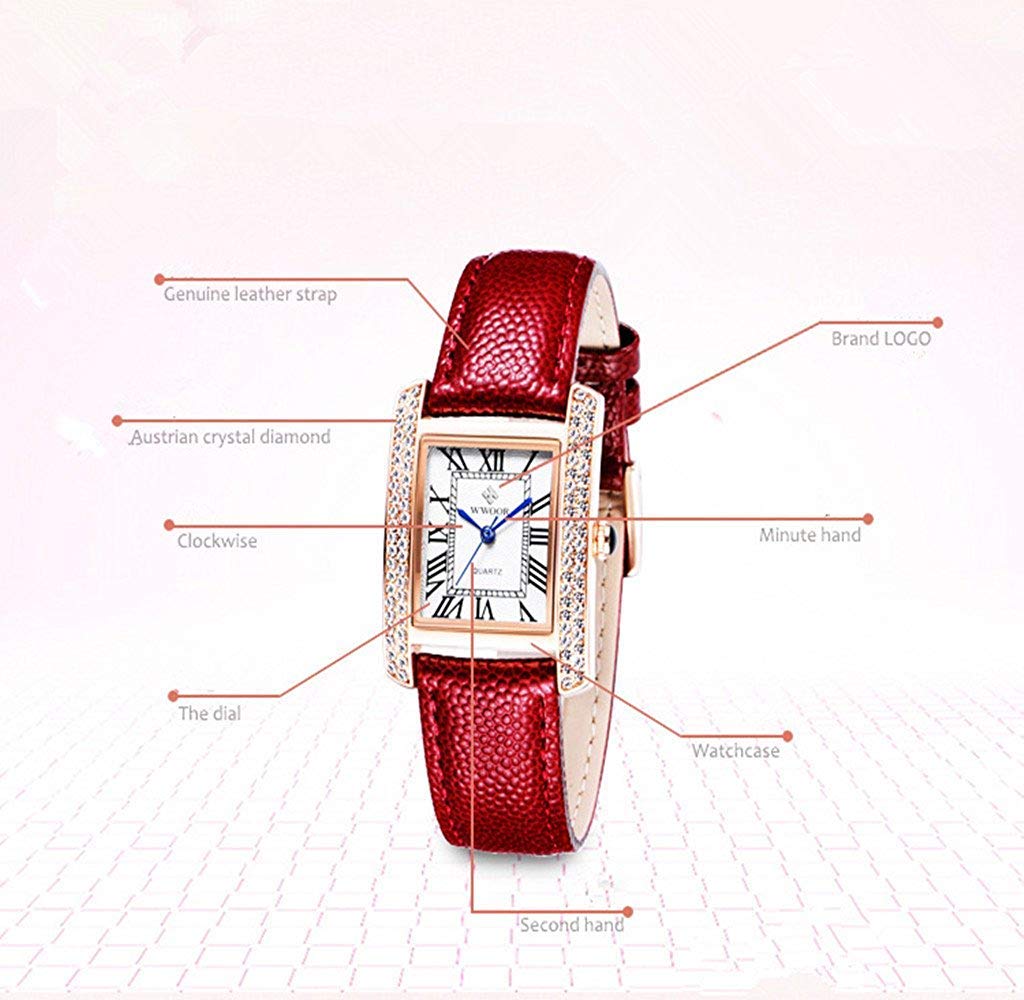 Carlien Luxury Square Dress Watch for Women - Roman Dial, Diamond Accents, Genuine Leather Strap - Elegant Quartz Wristwatch for Office, Party & Special Occasions