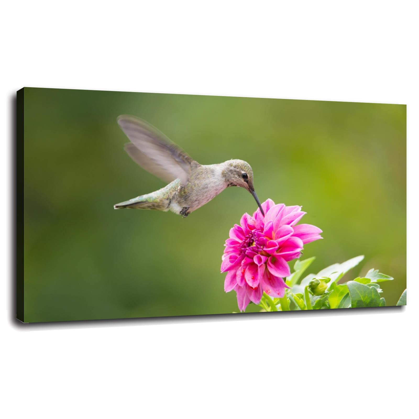 Hummingbird Canvas Wall Art - 20