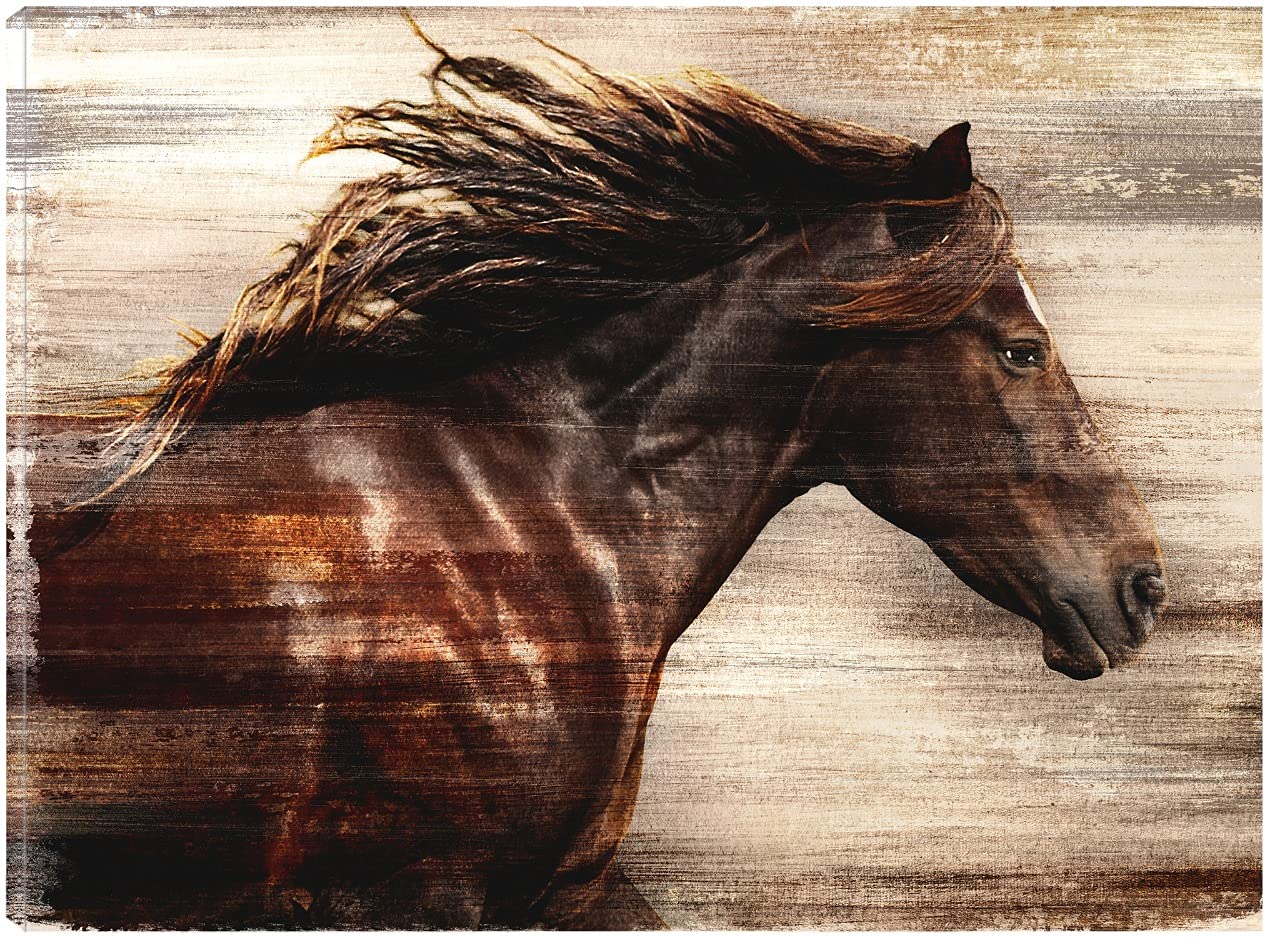 Majestic Motion Fine Art Canvas Wall Decor by Belle Maison - 32x24 Inches Ready to Hang Painting for Living Room, Bedroom, Office - Perfect for Home Decor & Gift Giving