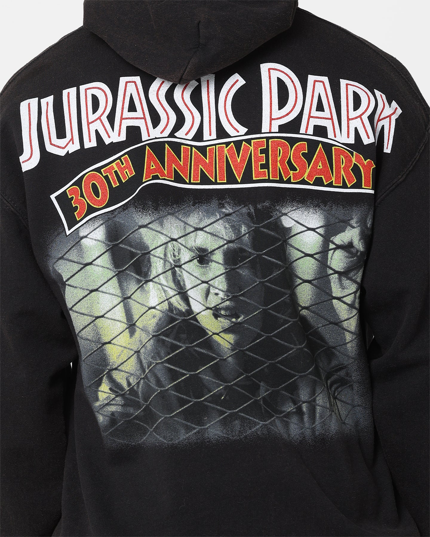 American Thrift Jurassic Park 30th Anniversary Vintage Hoodie - Black Distressed Wash - Perfect for Movie Nights & Retro Fashion Lovers
