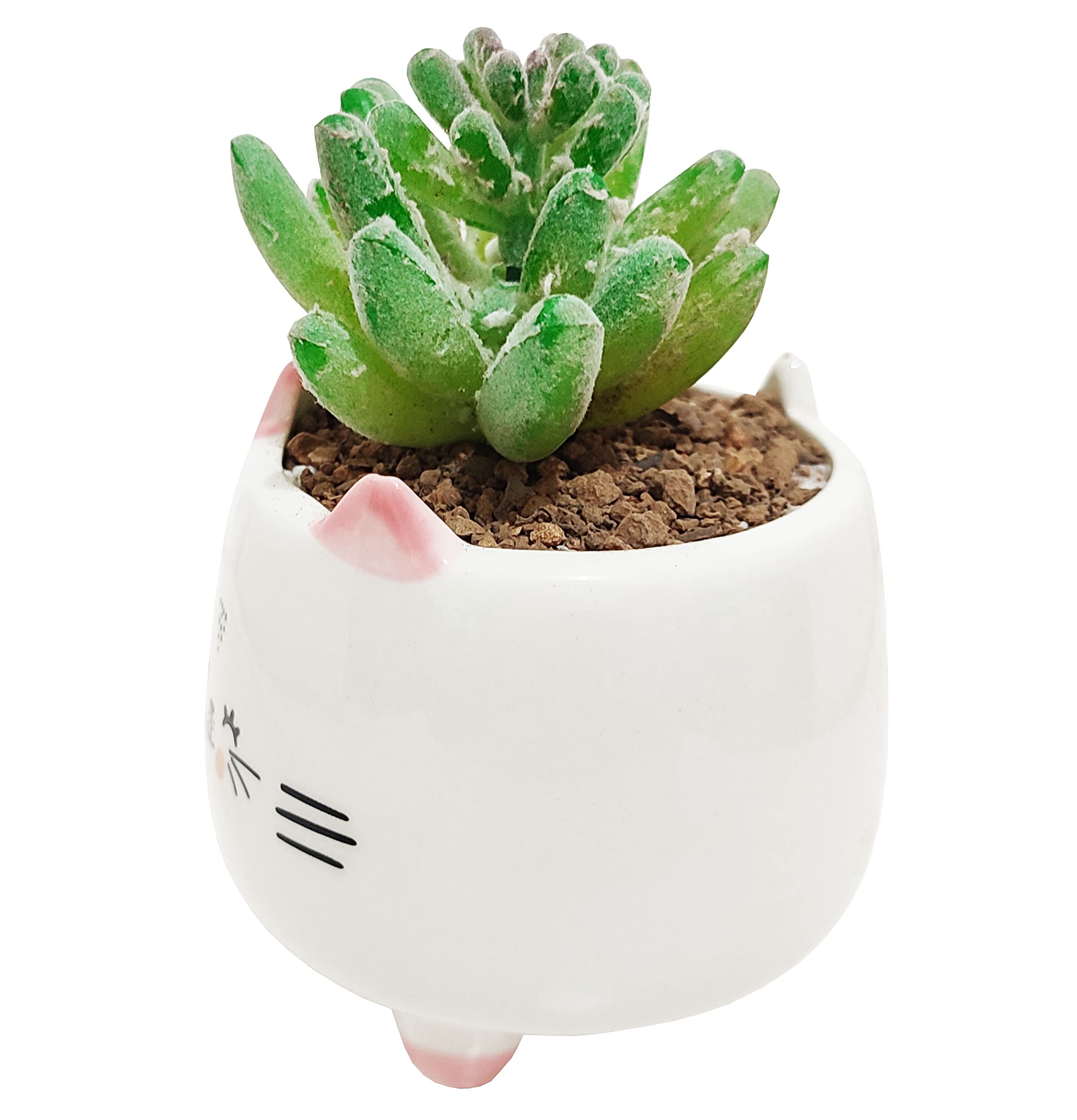 Cute 3.14 Inch Animal Shaped Ceramic Succulent Planter - Cat Design Flower Pot for Cactus & Small Plants, Home Office Garden Decor (Plant Not Included) | Perfect for Windowsills, Desks & Gift Giving