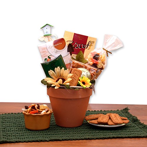Sunflower Seeds for Planting - Perfect Gardening Gift for Mom - Grow Beautiful Sunflowers in Your Garden, Yard or Patio