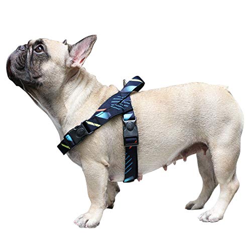 Stars Harness