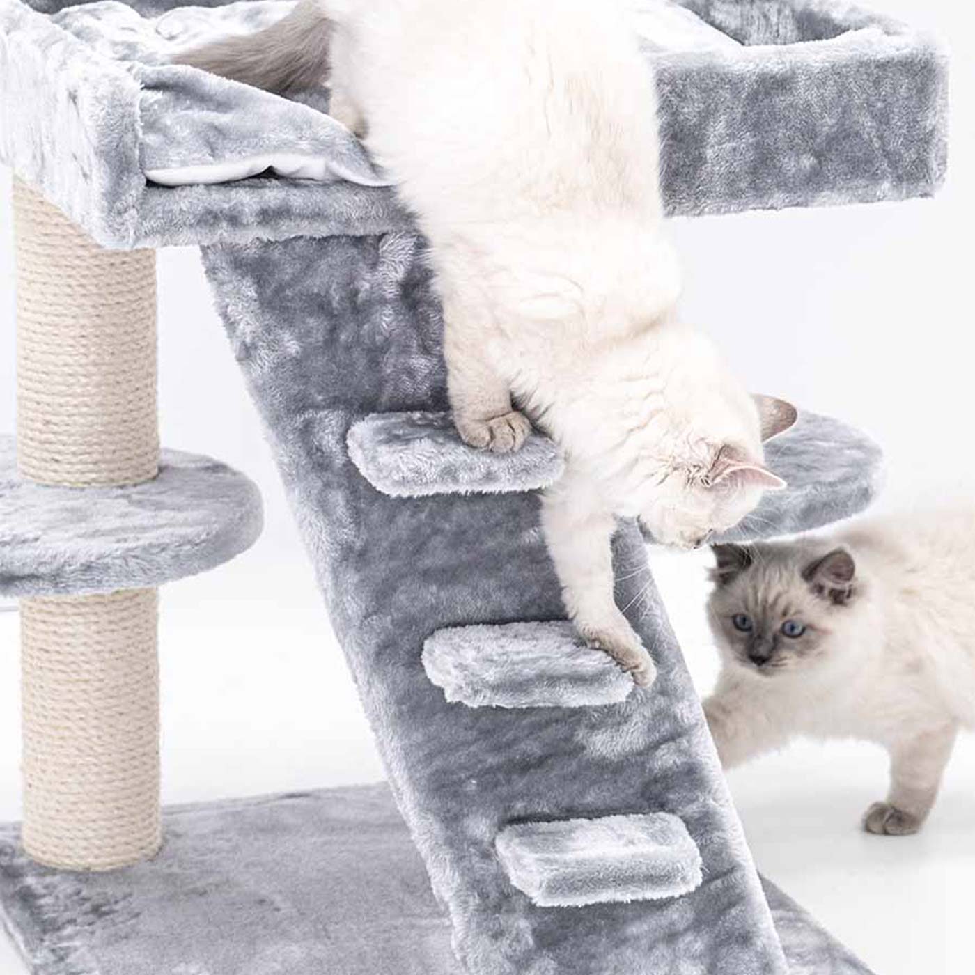 Little Rebels Tucson 61cm Cat Tree - Premium Scratching Post with Perch & Condo for Indoor Cats - Perfect for Play, Rest & Climbing in Small Spaces
