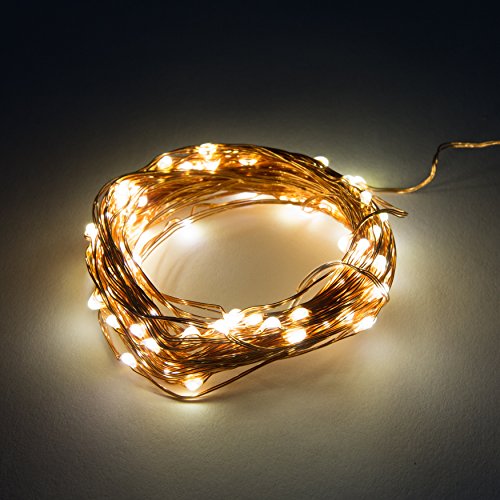 6 Foot 20 LED - Warm White
