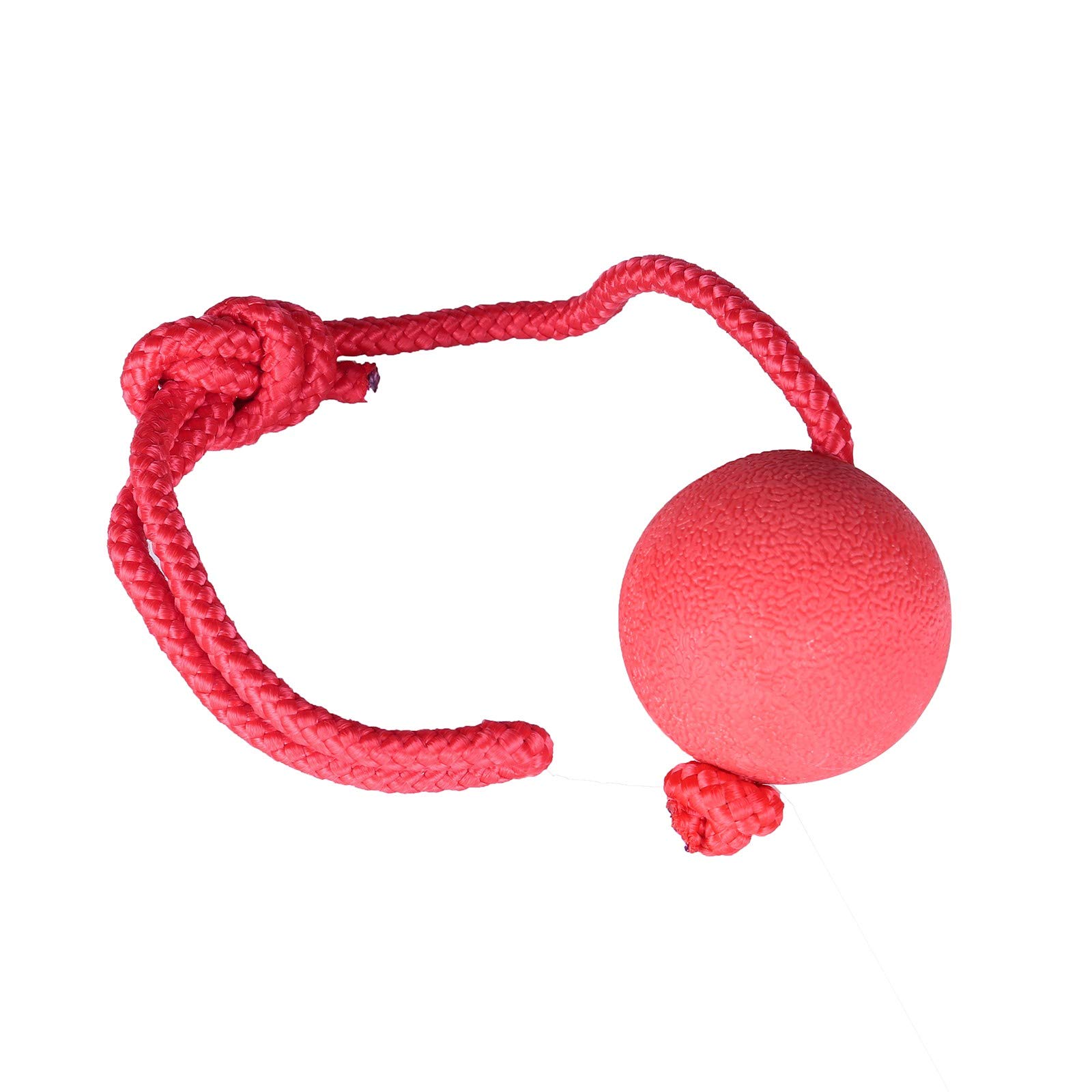 Durable Squeaky Dog Chew Toys for Teeth Cleaning - Interactive Puppy Chewing Toy for Small & Large Dogs - Perfect for Playtime, Training & Dental Health
