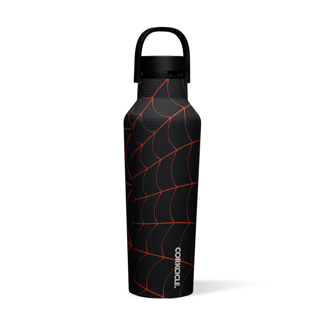 Marvel Superheroes Stainless Steel Sports Water Bottle - Leak Proof & Insulated for Gym, Hiking & Outdoor Adventures