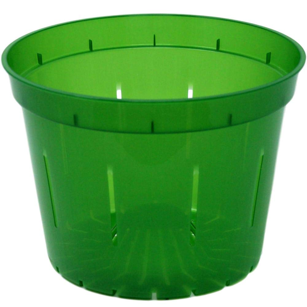 rePotme 10 Inch Slotted Clear Plastic Orchid Pots - 3 Pack (Green Emerald) for Indoor Plant Repotting & Orchid Care