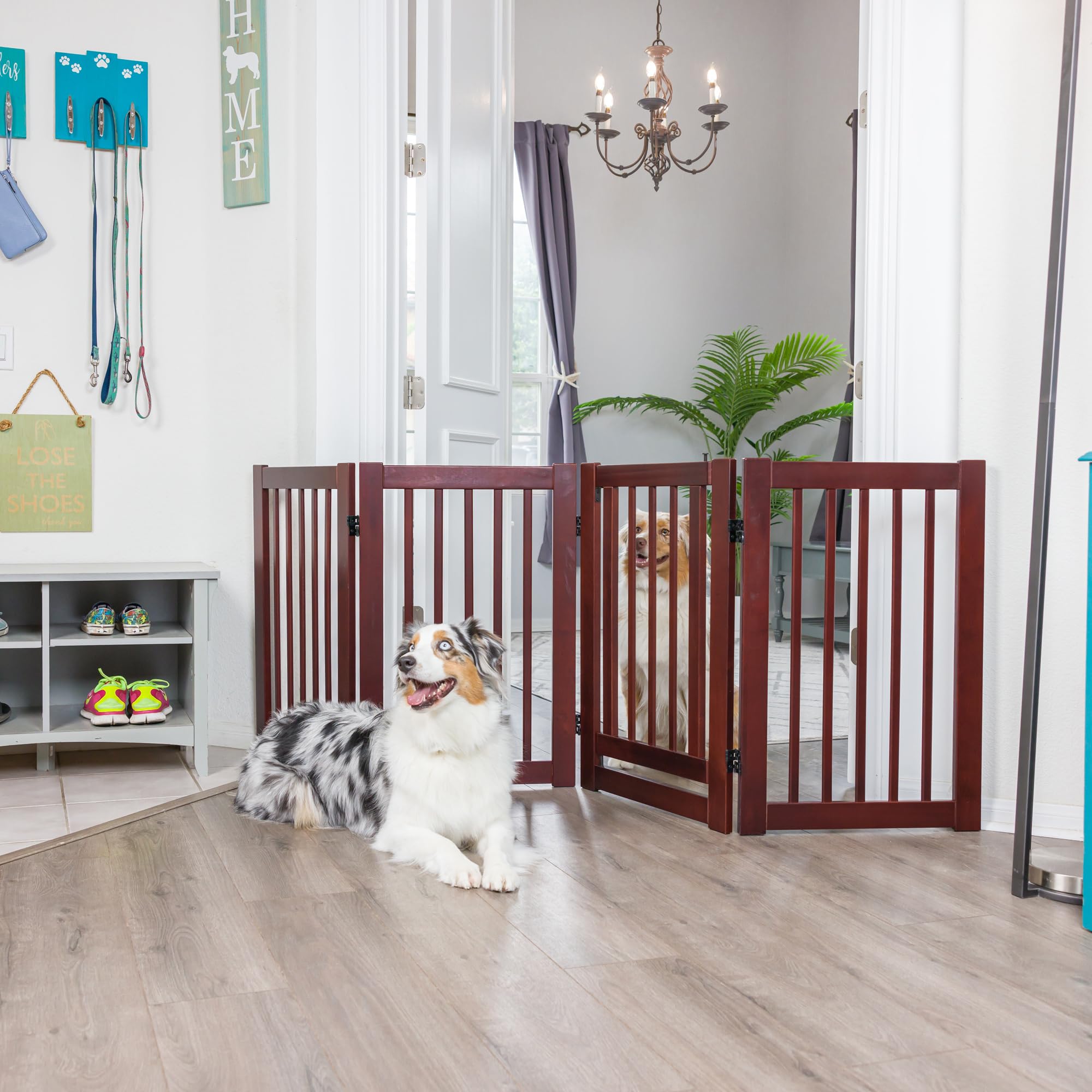 Primetime Petz 360 Configurable Dog Gate with Door – 30