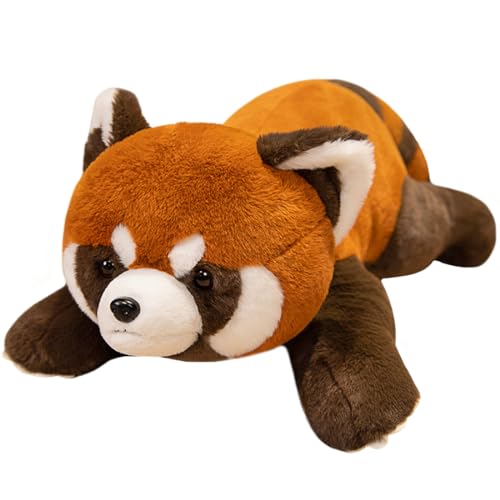 Raccoon01