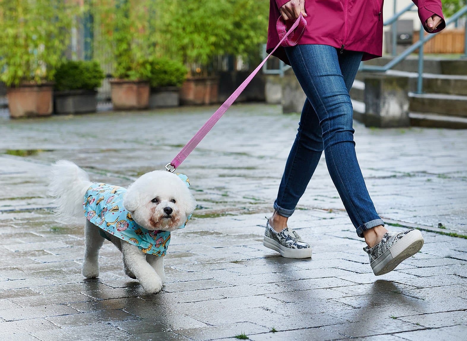 Waterproof Dog Food Pouch - Fun Pet Feeding Bag with New Sizes for Travel, Hiking & Outdoor Adventures