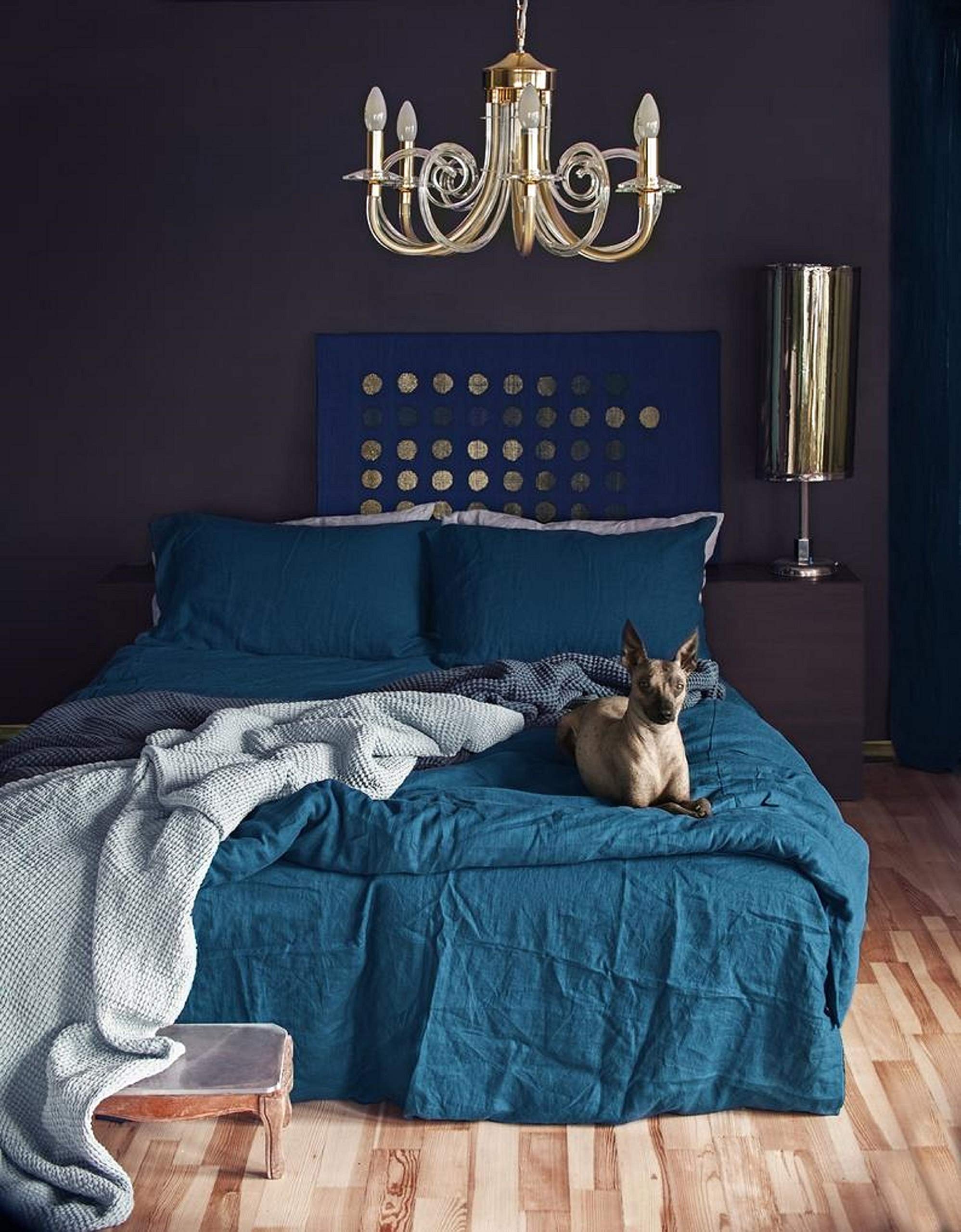 Premium 100% Cotton Duvet Cover Set - Queen/King Size Soft Breathable Bedding in Ocean Blue | Perfect for Master Bedroom, Guest Room & Kids' Bedding | Hypoallergenic & Machine Washable
