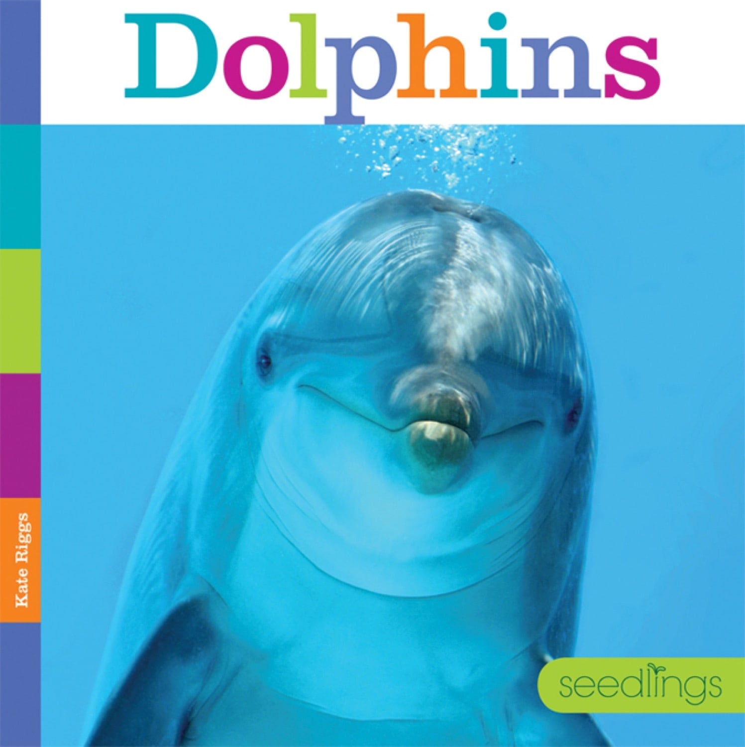 Dolphins Book ISBN 9781608182749 - Marine Life Guide for Kids & Adults, Perfect for School Projects & Ocean Enthusiasts