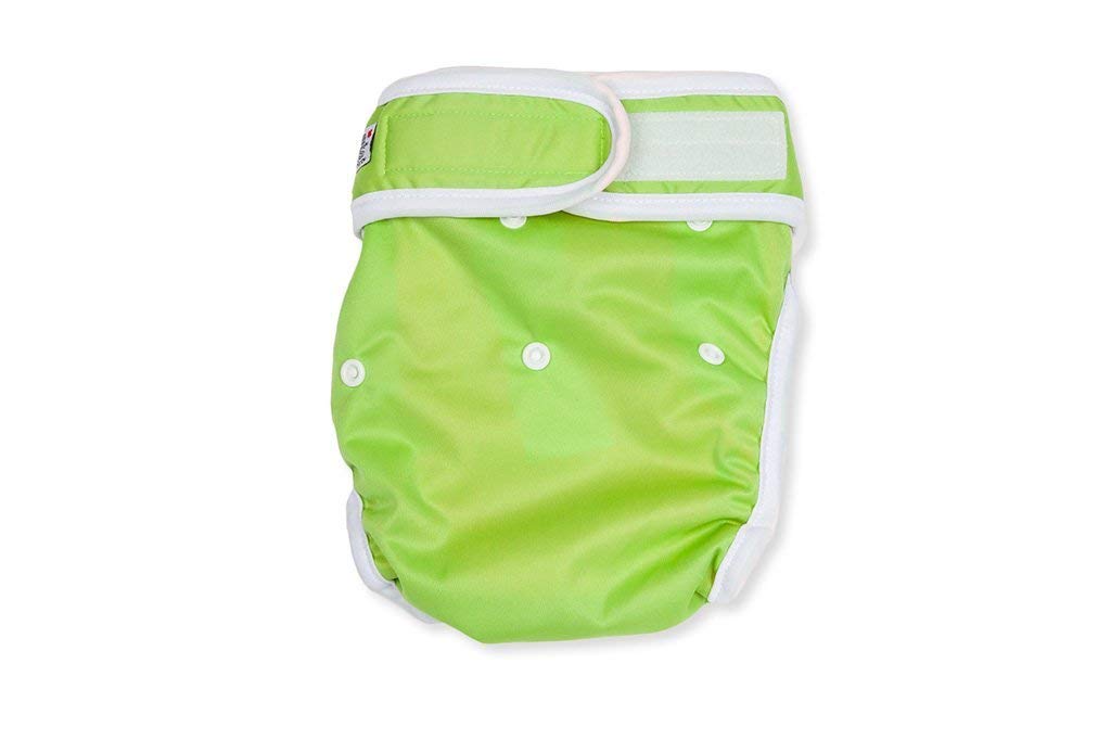 Washable Wonders Female Dog Diapers - No Tail Hole | Premium Reusable Absorbent Dog Panties for Small Dogs (XS, Green) | Perfect for Incontinence, Heat Cycles & Travel