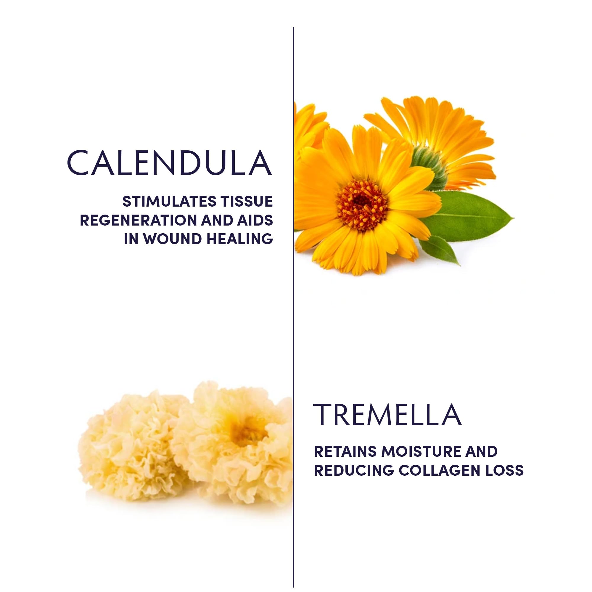 Naturopathica Calendula & Tremella Nourishing Body Butter with Vitamin E - Hydrating Daily Moisturizer for Dry Skin - Men & Women Body Cream - 6 fl oz - Perfect for Post-Shower Hydration & Winter Skin Care