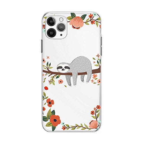 Gray Sloth