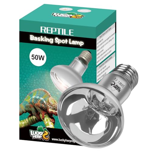 50w Reptile Heat Lamp