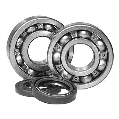 All Balls Crankshaft Bearing and Seal Kit for KTM 150 XC (2010-2014) - High Performance Engine Rebuild Parts for Off-Road Motorcycle Maintenance & Racing