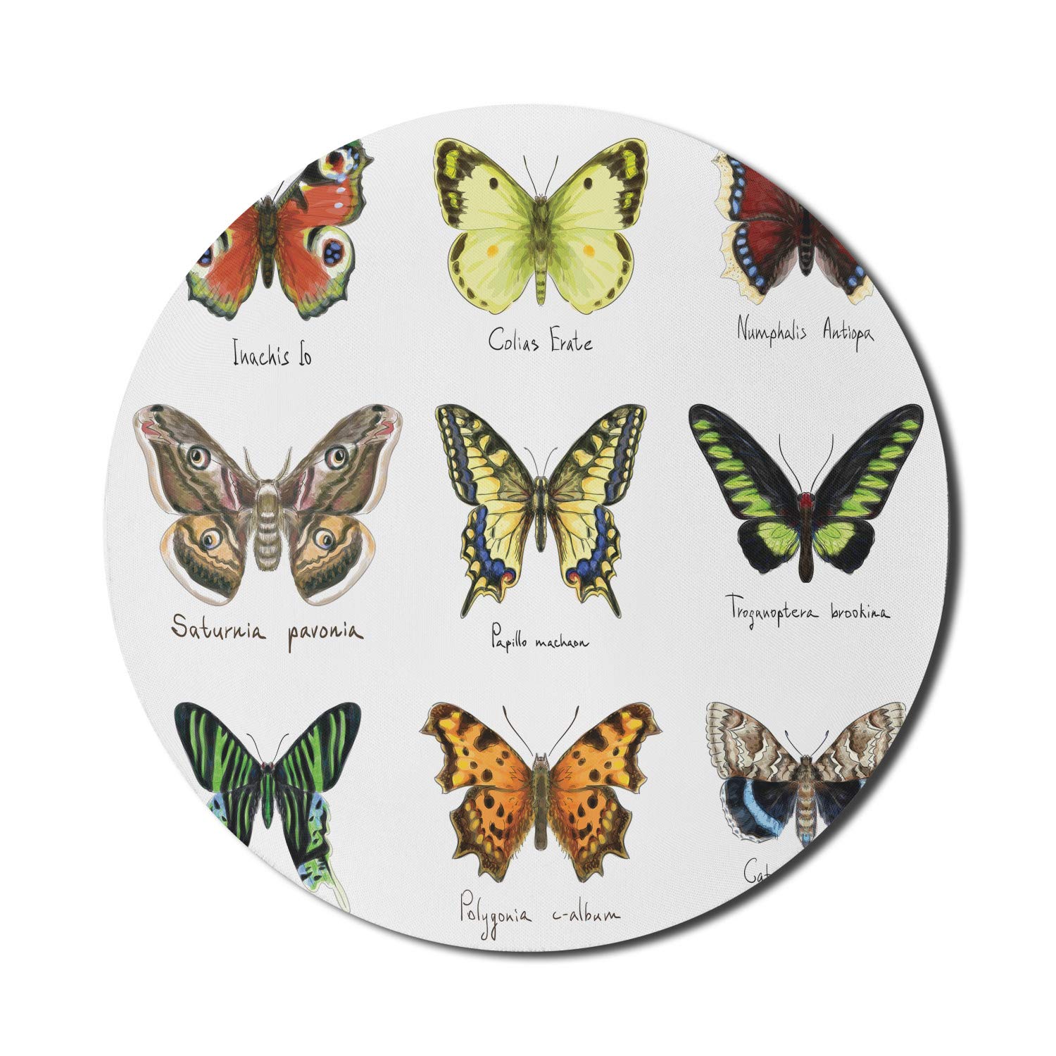 Ambesonne Butterfly Mouse Pad - Watercolor Spring Insects Design, Non-Slip Thick Rubber Gaming Mousepad for Computer & Laptop, 8 Inch Round Mouse Mat for Office, Home & Gaming Setup (Multicolor)