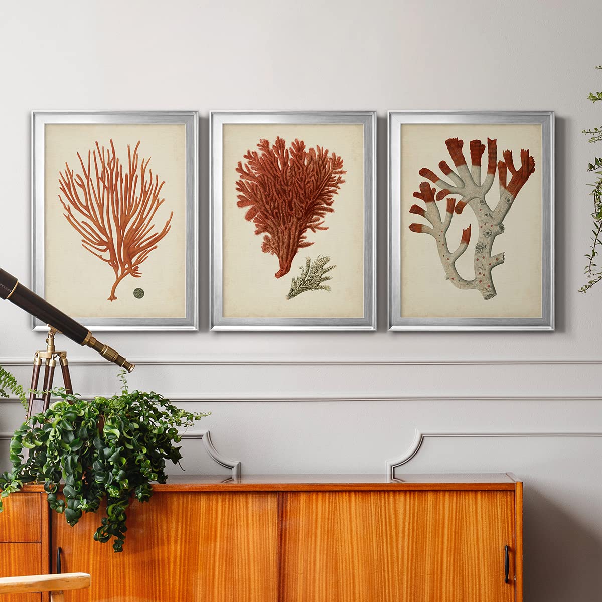 Red Coral IV Silver Framed Canvas Wall Art - 3 Piece Set (22x30 Inches Each) - Modern & Traditional Home Décor for Living Room, Bedroom, Office | Antique Style Travel-Inspired Artwork