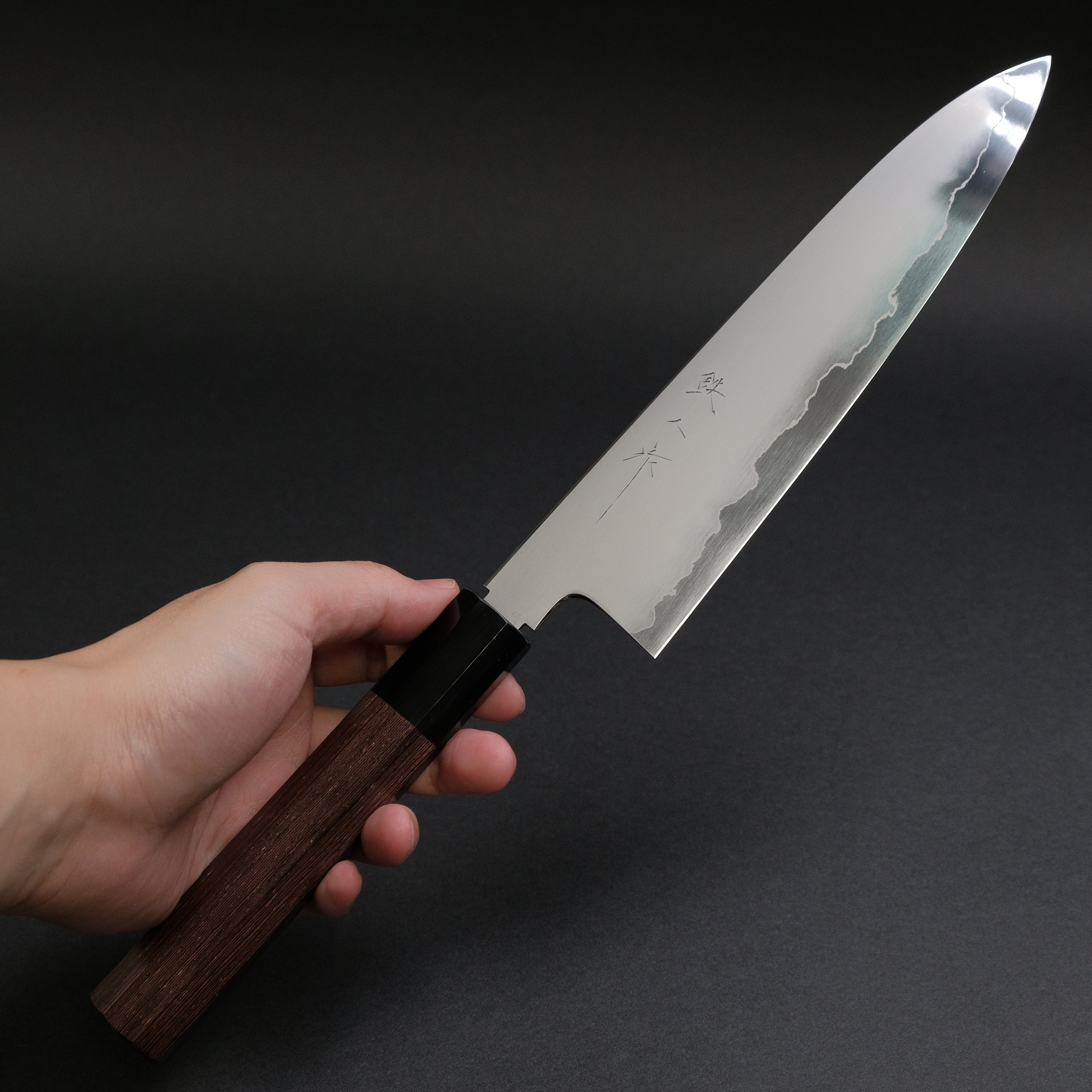Premium Tetsujin Silver #3 Kasumi Gyuto 210mm Japanese Chef Knife with Taihei Tagayasan Handle - Perfect for Sushi, Meat Slicing & Professional Kitchen Use