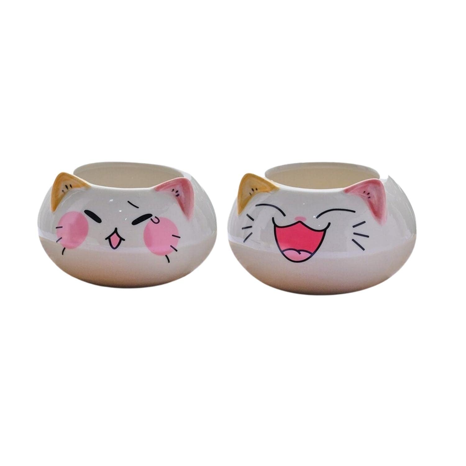 Owl Planter Pots for Indoor Plants - Set of 2 Mini Ceramic Succulent Pots, Hand-Painted Animal Flower Planters for Home & Office Decor | Perfect for Bonsai, Succulents & Small Plants | Ideal Gift for Plant Lovers