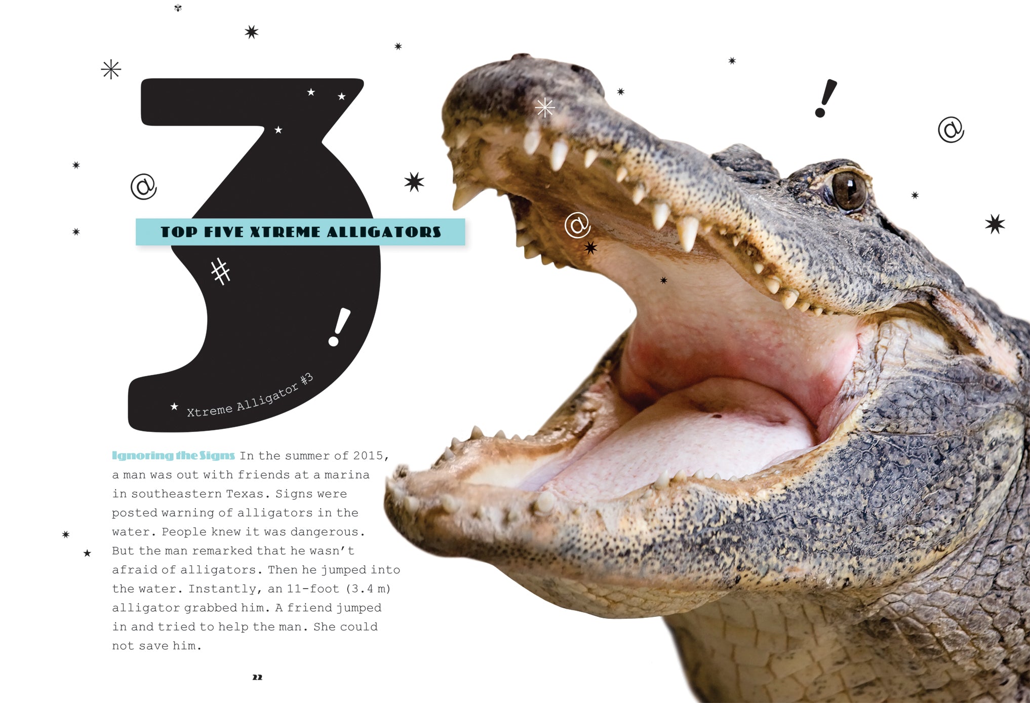 Alligators Book - ISBN 9781608188178 - Perfect for Wildlife Enthusiasts & Nature Research