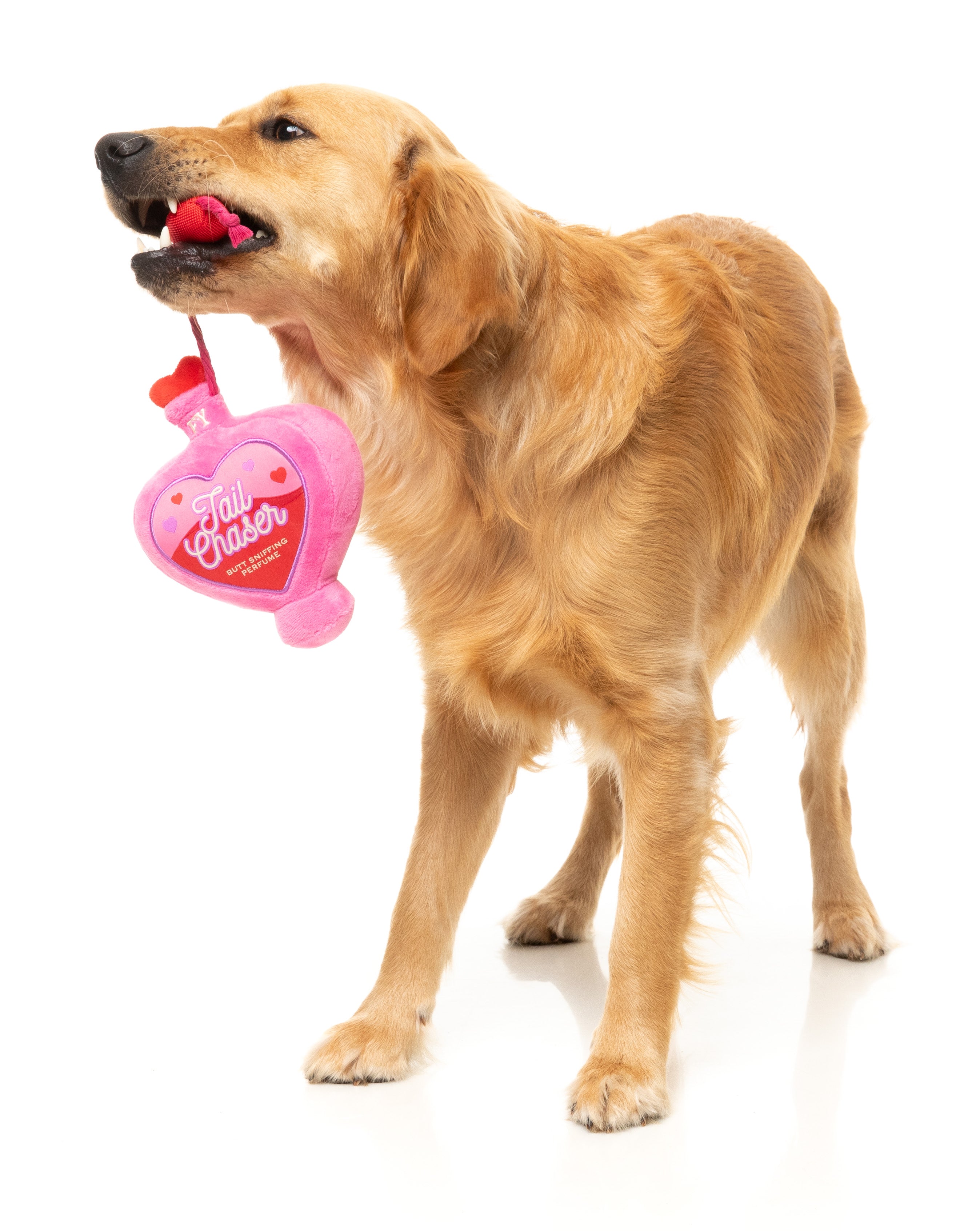 FuzzYard Valentine's Day Plush Dog Toy with Scented Tail - Cute Interactive Puppy Chew Toy for Small & Medium Dogs - Perfect for Playtime, Training & Gifting