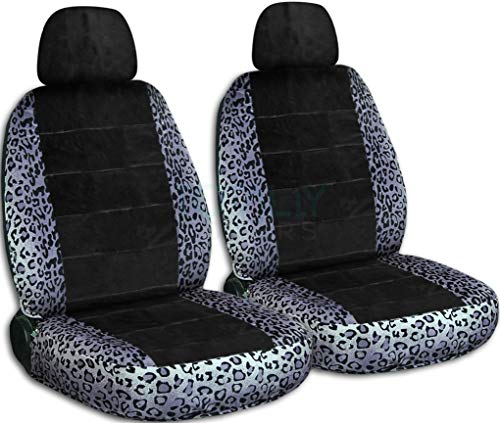 Gray Leopard & Black