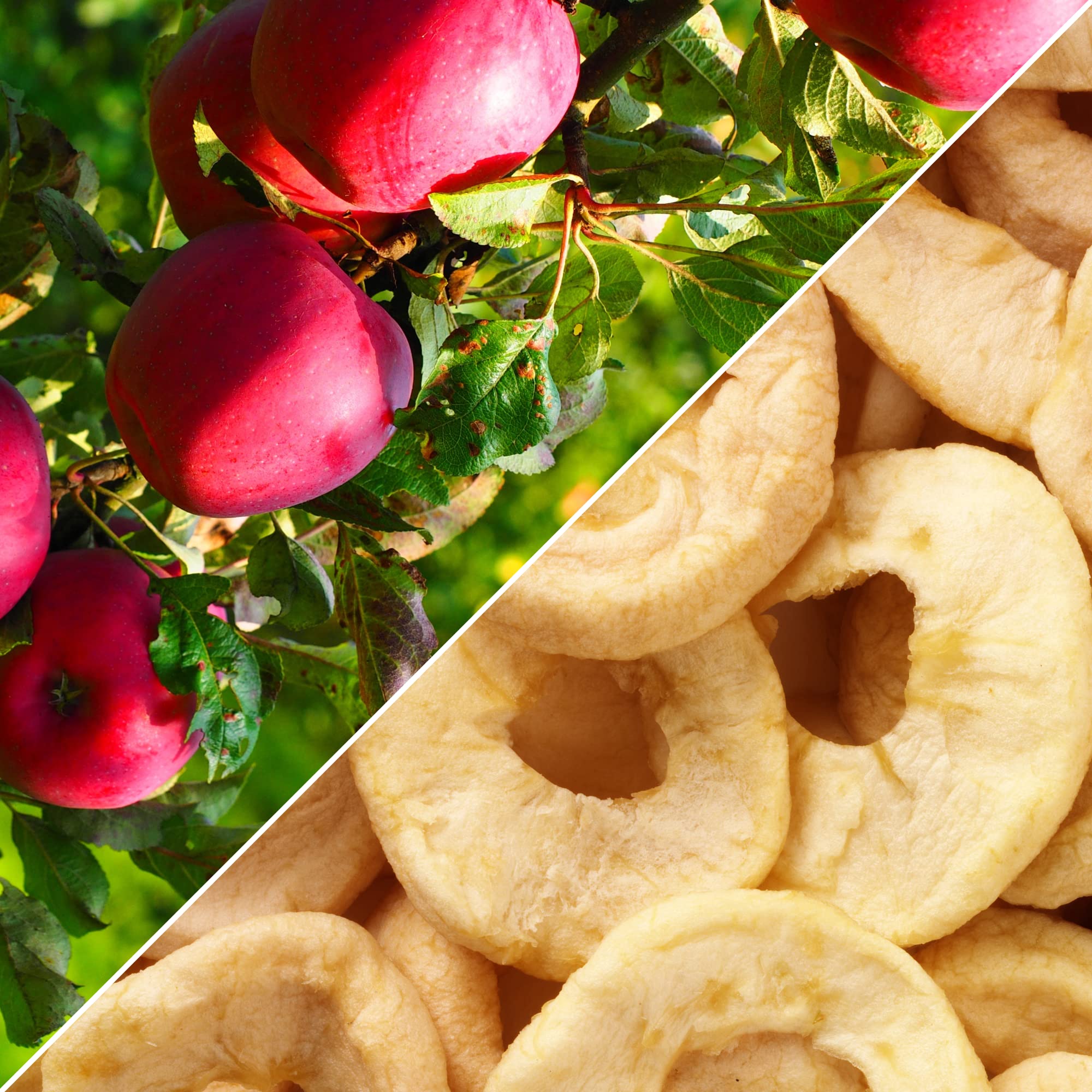 Organic Dried Apple Rings by Its Delish - 10 lbs Bulk Bag | Unsweetened Soft Dried Apples, No Sugar Added | Healthy Snack for Kids, Hiking & Baking