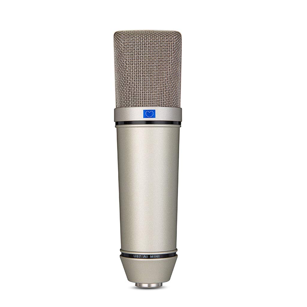 Professional Studio Condenser Microphone Kit - High-Quality USB Mic for Computer Recording, Karaoke, Live Streaming & Voice-Over - Perfect for Home Studio, Podcasting & YouTube Content Creation
