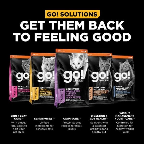 Go! Solutions Carnivore Grain-Free Dry Cat Food with Chicken, Turkey & Duck - High Protein Recipe for Indoor & Outdoor Cats - Perfect for Weight Management & Sensitive Stomachs