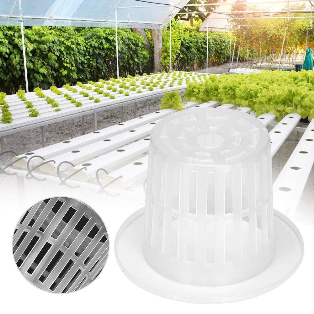 10Pcs Hydroponic Garden Basket Set - Plastic Planting Baskets for Hydroponics, Balcony Gardening & Indoor Herb Growing - Perfect for Vegetables, Flowers & Herbs in Home Gardens