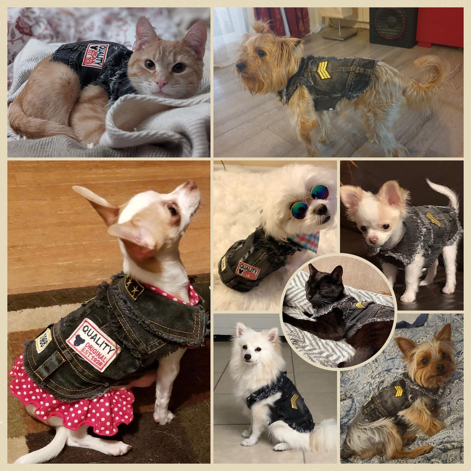 Stylish Black Denim Dog Jacket - Small Pet Outfits for Small & Medium Dogs | Puppy Clothes for Shih Tzu, Chihuahua, Yorkie & Teacup Breeds | Durable Dog Vest for Boys & Girls | Perfect for Outdoor Walks, Pet Fashion & Photo Shoots