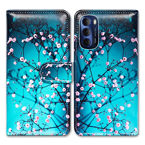 Plum Blossom