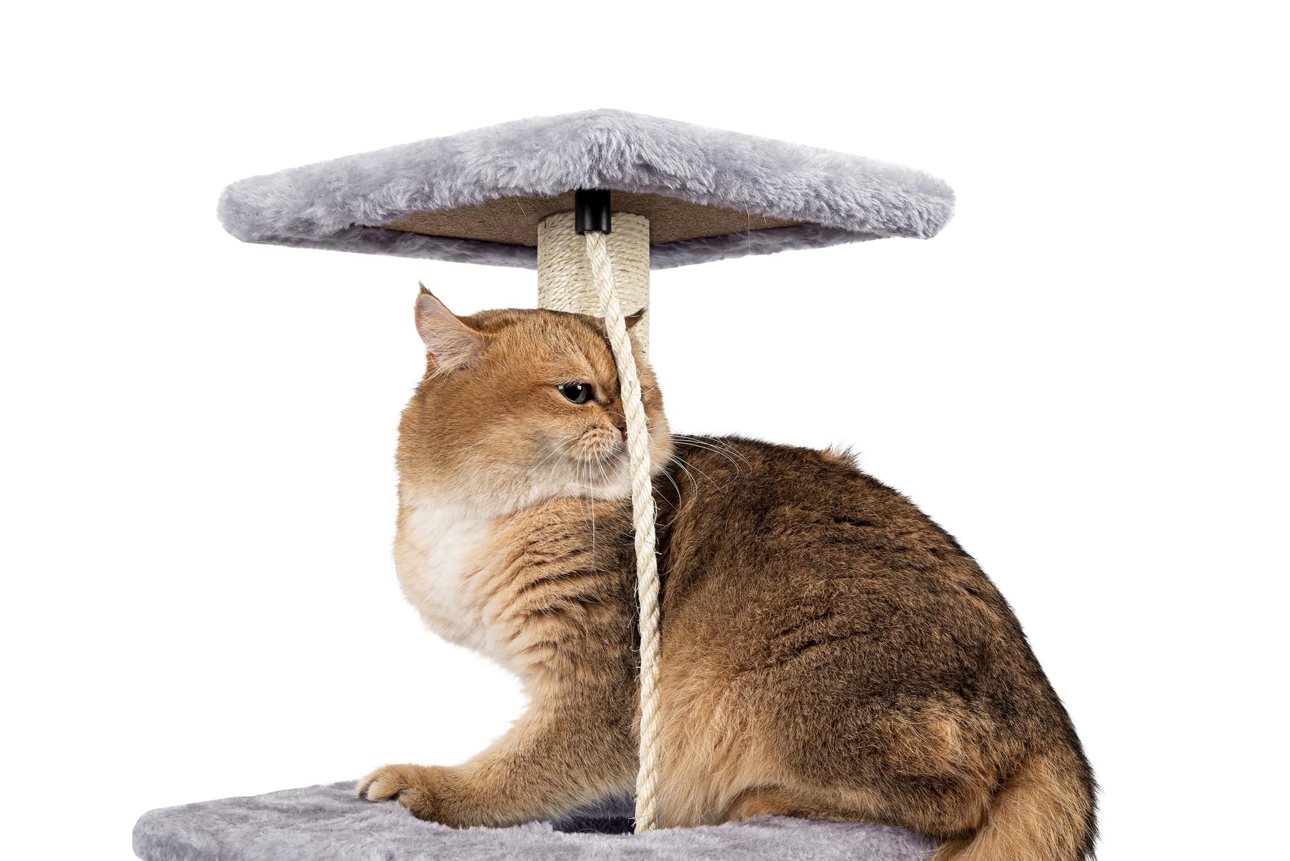 90cm Multi-Level Cat Tree with Scratching Post & Cat House - Sturdy Cat Tower for Indoor Cats to Climb, Play & Relax - Perfect for Small Spaces & Cat Nap Time (Grey)