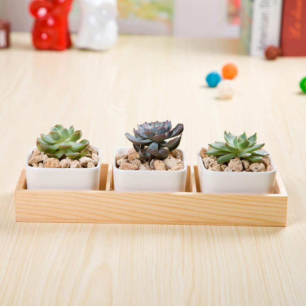 Walbest Succulent Plant Pot - Multi Grid Wooden Flower Planter Box with 3 Grids for Bonsai, Desktop Storage & Home Decor | Perfect for Office, Living Room & Indoor Plants
