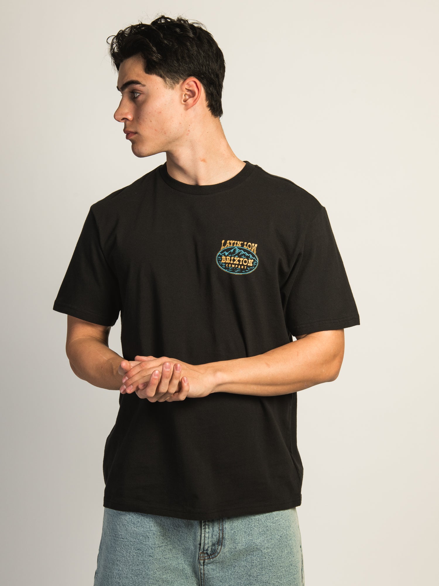 BRIXTON Layin' Low Standard T-Shirt for Men - Casual Cotton Tee for Everyday Wear | Perfect for Streetwear, Outings, and Relaxing