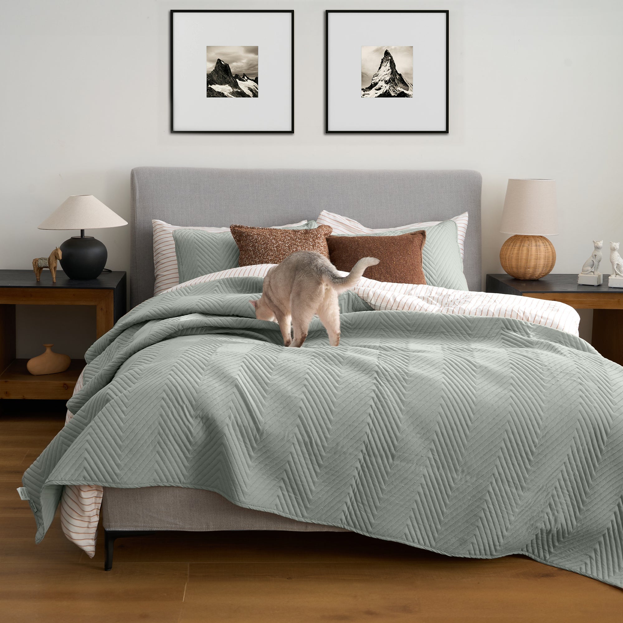 FURRFREE Quilt Set - Pet Hair Repellent Bedding for Dogs & Cats | Hypoallergenic & Easy Clean | Perfect for Pet Owners & Allergy Sufferers | Cozy Home & Bedroom Decor