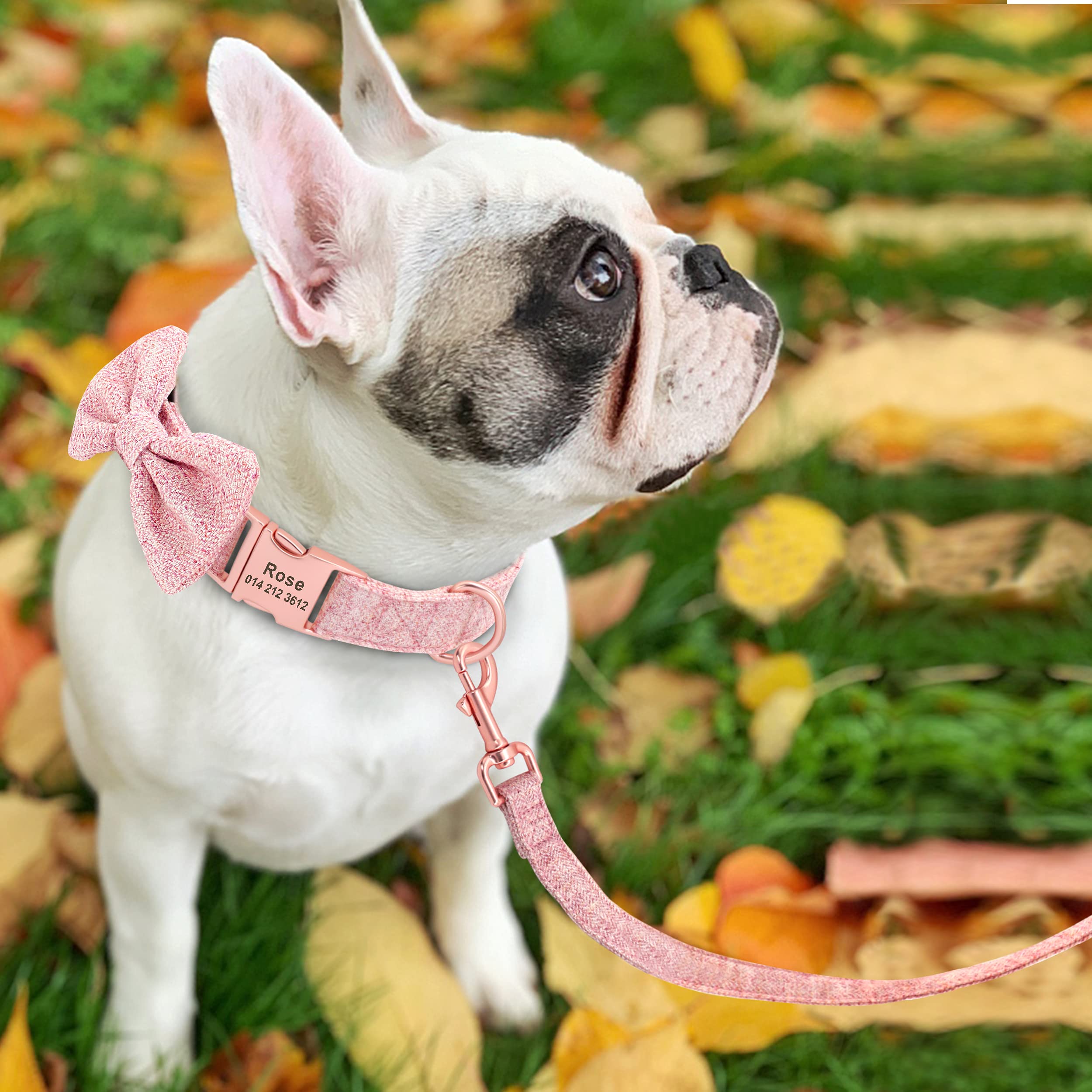 Personalized Girl Dog Collars with Detachable Bowtie - Soft & Comfortable Pet Collar and Leash Set with Rose Gold Buckle - Adjustable Dog Collars for Small, Medium & Large Dogs - Perfect for Daily Walks, Pet Grooming & Special Occasions (Pink)