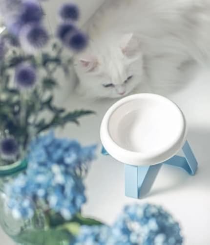 Bowl white /Foot Flash blue