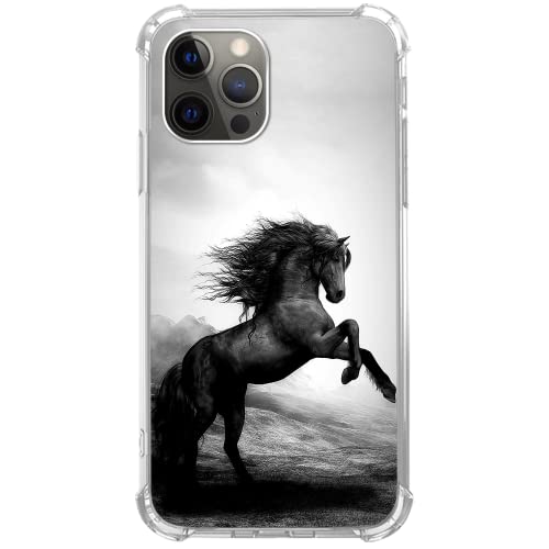 Black Wild Horse