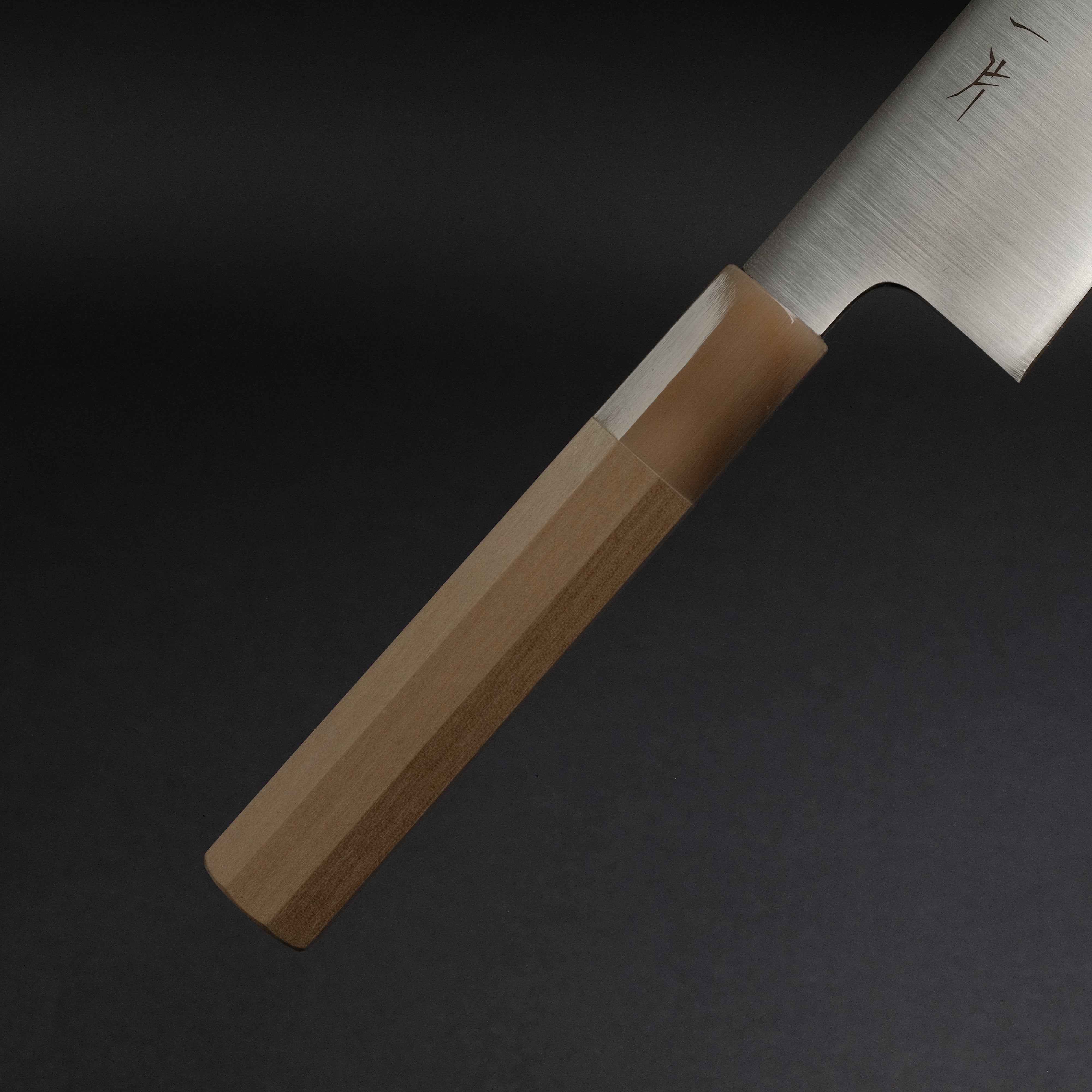 Hitohira FJ VG-10 Gyuto Japanese Chef Knife 240mm with Taihei Ho Wood Handle - Professional Kitchen Tool for Sushi, Meat Cutting & Food Preparation